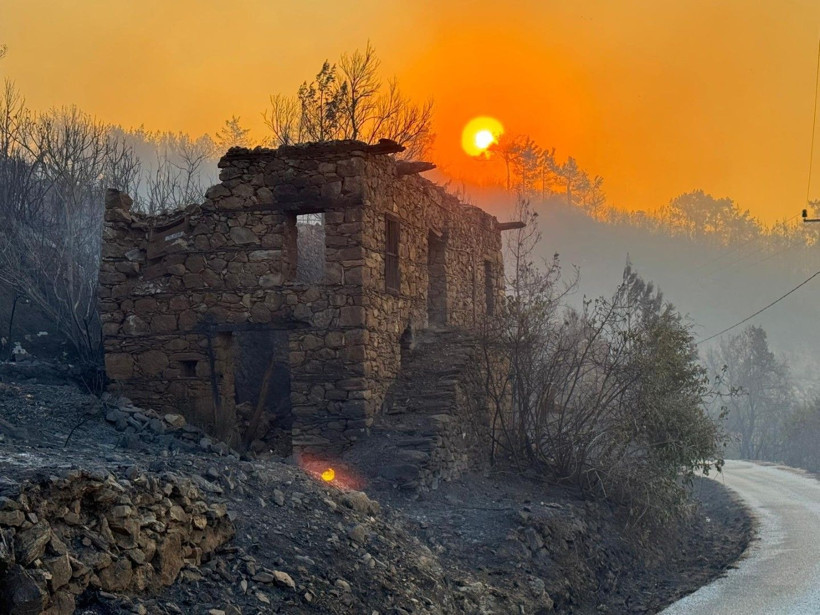 Alanya'da yangın yerleşim yerlerine ulaştı - Resim: 15