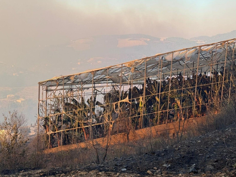 Alanya'da yangın yerleşim yerlerine ulaştı - Resim: 20