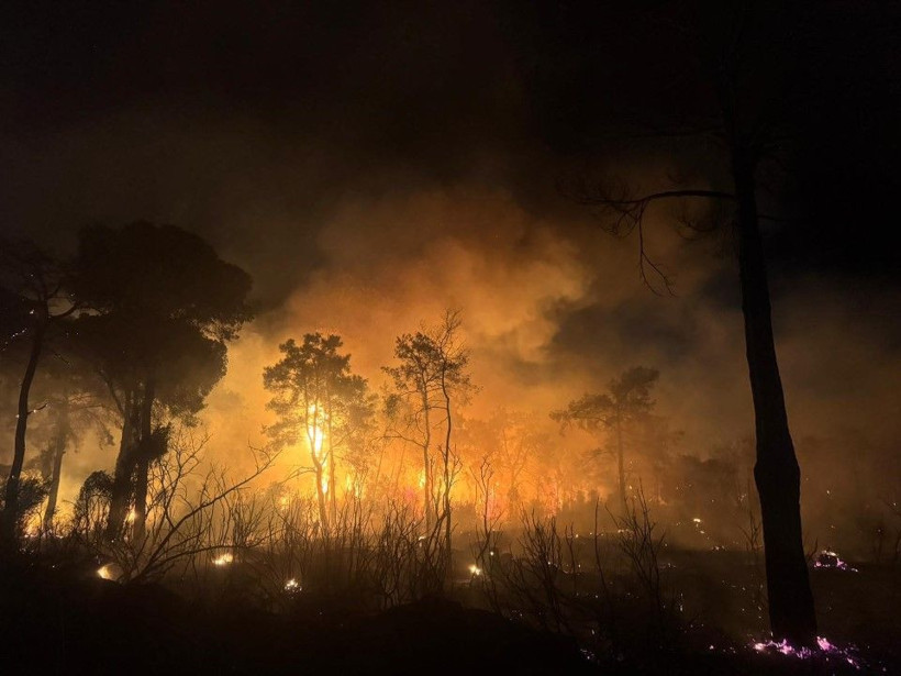 Antalya'da büyük orman yangını - Resim: 1