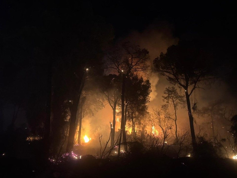 Antalya'da büyük orman yangını - Resim: 2