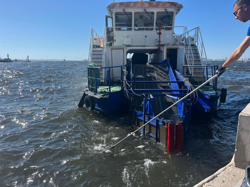 İzmir Körfezi'nde balıklar ölüyor, koku mahalleleri aşıyor - Resim : 1