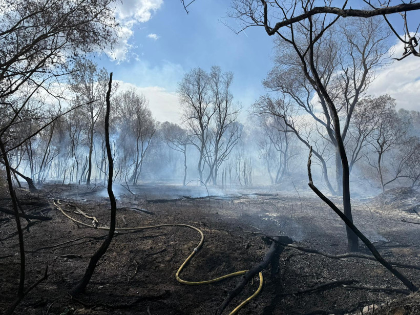 Büyükçekmece’de korkutan yangın - Resim : 1