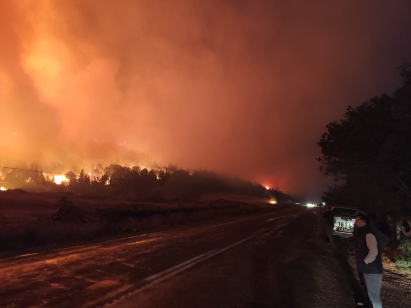 Bursa'daki orman yangını saatler sonra kontrol altına alındı - Resim: 3