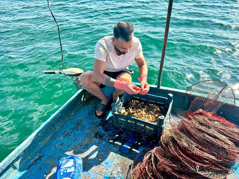 İstanbul'u terk edip Tunceli'ye yerleşti: Kerevit ihracatı yapıyor - Resim : 2