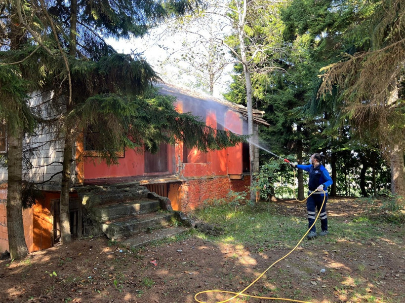 Fındıkta kokarca paniği - Resim : 4