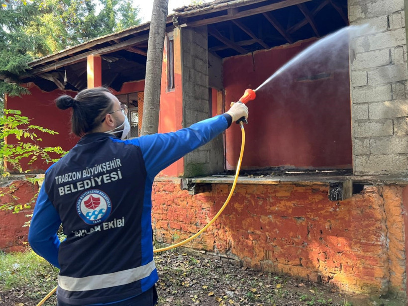 Fındıkta kokarca paniği - Resim : 3