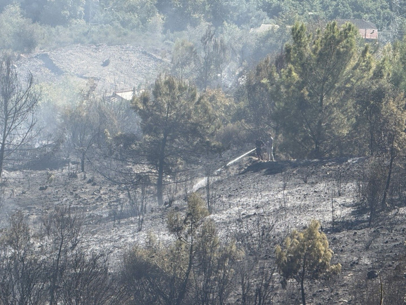 Alevler villalara dayandı - Resim: 9