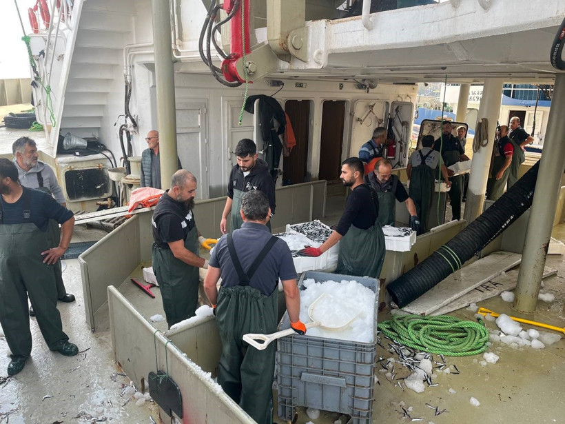 Karadeniz hamsiye doydu: Denizden dolu kasalarla döndüler - Resim : 1