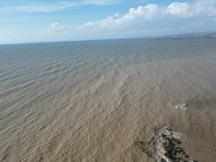 Sahile vuran binlerce kütük, Akdeniz’in rengini değiştirdi - Resim : 1