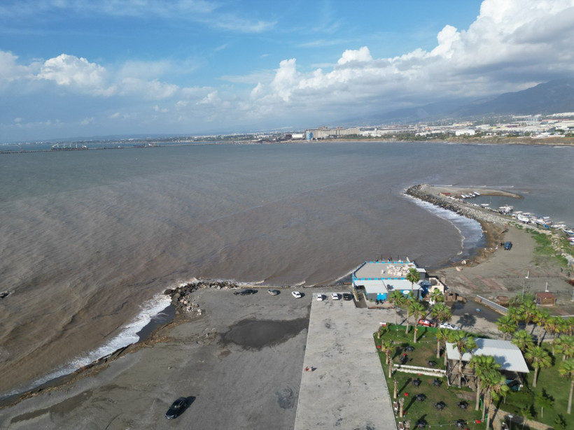 Sahile vuran binlerce kütük, Akdeniz’in rengini değiştirdi - Resim : 2