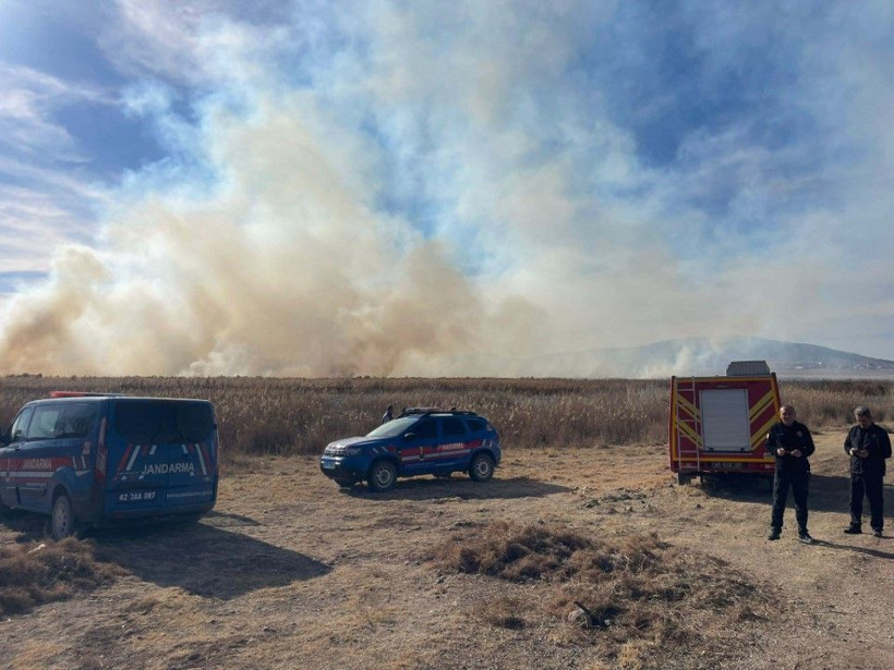 Konya Gök Gölü sazlık bölgedeki yangın 2'nci gününde - Resim: 5