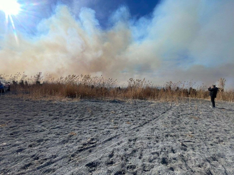 Konya Gök Gölü sazlık bölgedeki yangın 2'nci gününde - Resim: 6