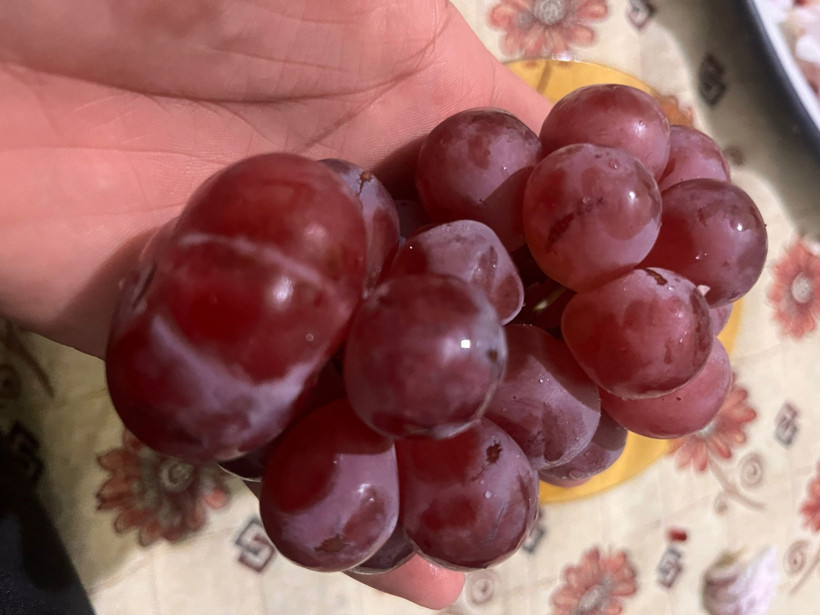 Tuhaf salkım tanesi normalin 4 katı çıktı - Resim : 2