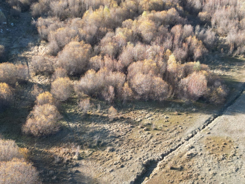 Barajda su çekildi, 58 yıllık dede toprağı gün yüzüne çıktı - Resim : 4