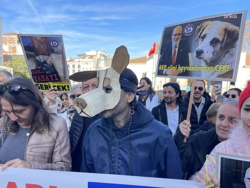 İstanbul Valiliği'nin sokak hayvanları genelgesine yurttaşlardan tepki - Resim : 1