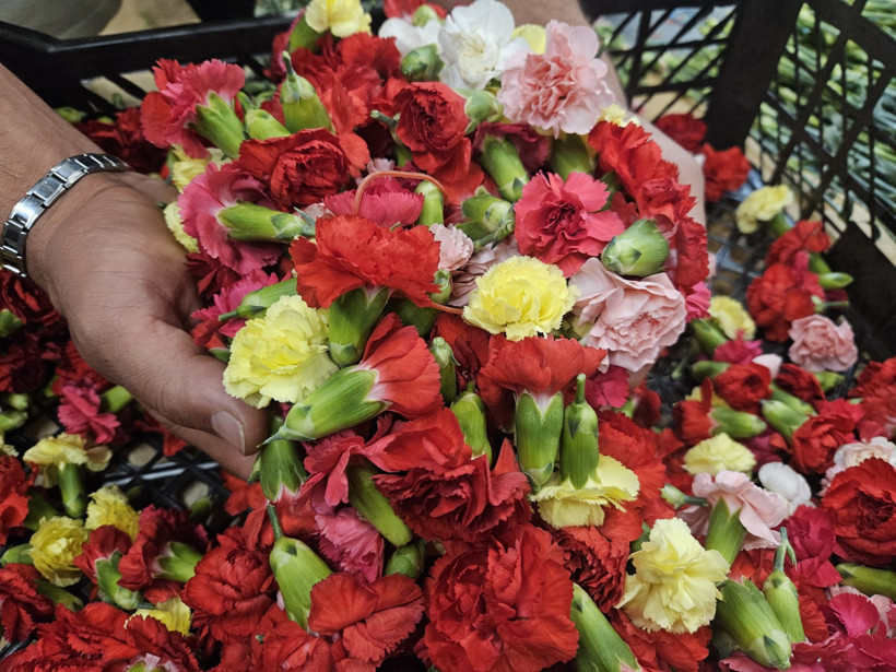 AB'nin yasak kararı Türk üreticiye yaradı: Üç milyon dolarlık ihracat yaptı - Resim : 1