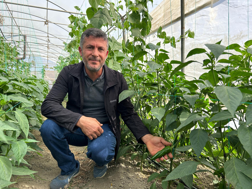 Türkiye’nin en acı biberi için hasat zamanı: Acılık değeri tam 50 bin scoville! - Resim : 2