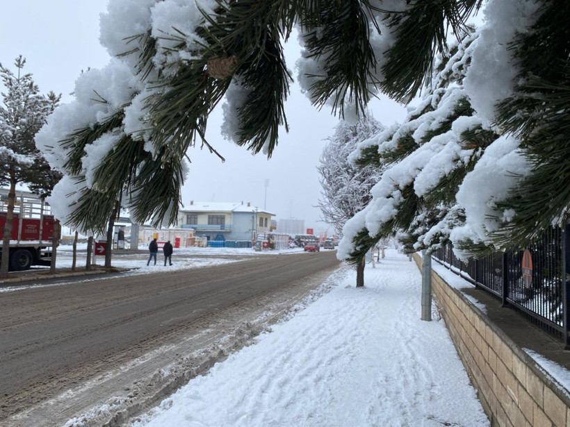 Doğu beyaza büründü - Resim: 1