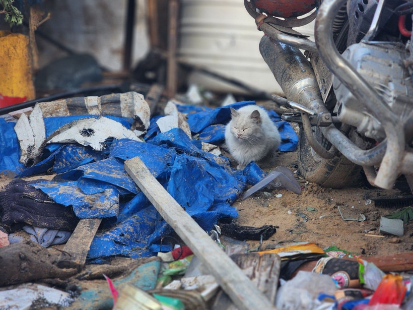 İsrail ateşkese rağmen çadır bombaladı: 2'si çocuk 5 ölü! - Resim: 7