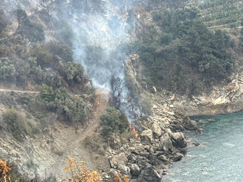 Muz bahçelerinde yangın - Resim : 1