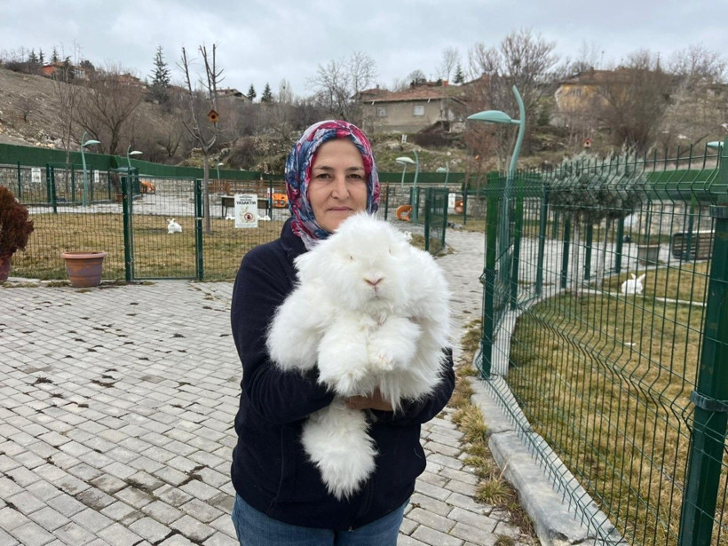 Türkiye'de nesli tükenmişti: Bir gören bir daha bakıyor - Resim: 2