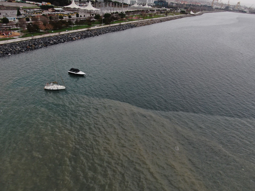 Havadan görüntülendi: Pendik sahilinde çevre felaketi endişesi - Resim : 3