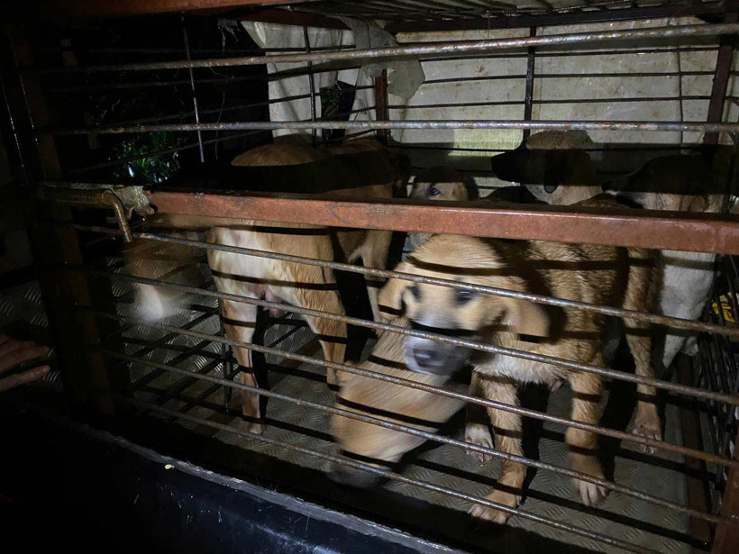 Aydın, Muğla ve Antalya'da dereler taştı, evler boşaltıldı - Resim : 1