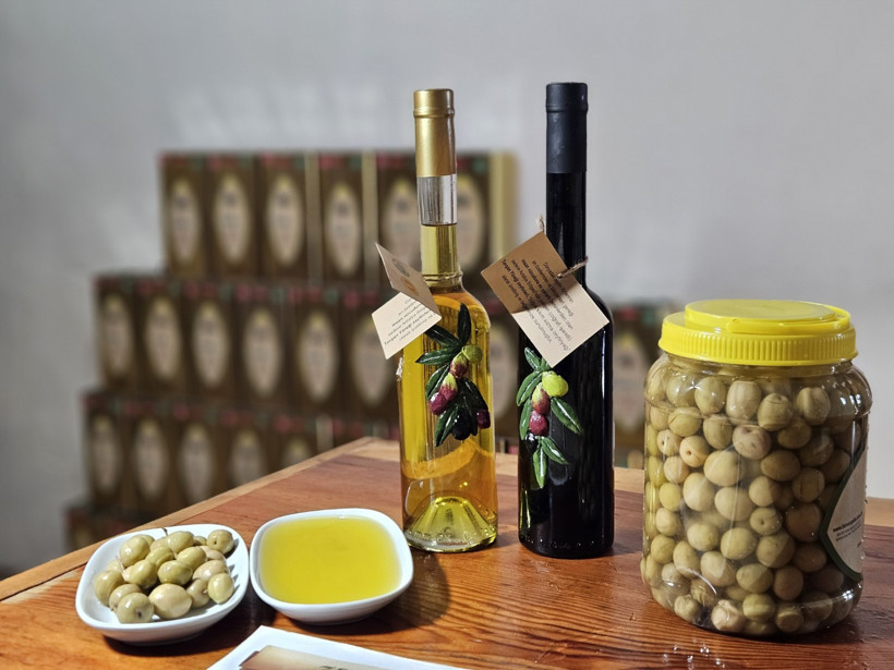 Tavşan yüreği zeytinyağı kemoterapiyle aynı etkiyi gösterdi - Resim : 1