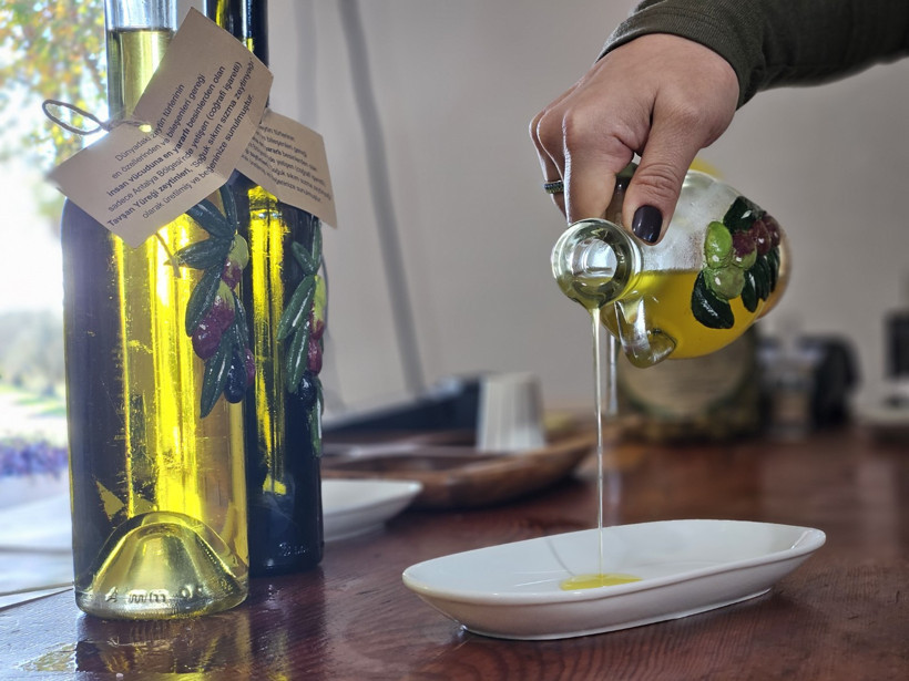 Tavşan yüreği zeytinyağı kemoterapiyle aynı etkiyi gösterdi - Resim : 2