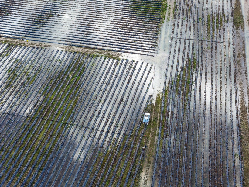 İki şehri birbirine bağlıyordu: Karayolu su yolu oldu - Resim: 14