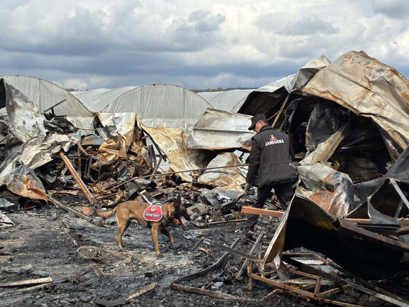 Konteynerdeki faciada mangal detayı - Resim : 1