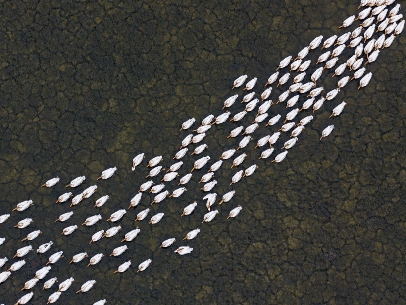 Bir yıl kurudu, bu yıl bambaşka bir manzara sundu - Resim: 2