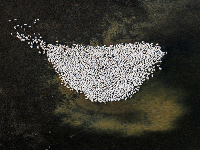 Bir yıl kurudu, bu yıl bambaşka bir manzara sundu - Resim: 7