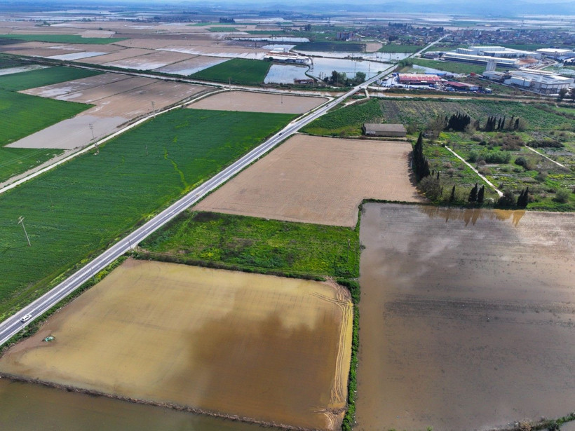 Üretici zamanla yarışıyor: Tarlada endişe yaratan görüntü - Resim: 3