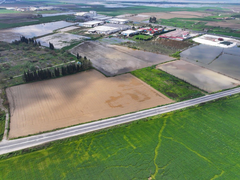 Üretici zamanla yarışıyor: Tarlada endişe yaratan görüntü - Resim: 7