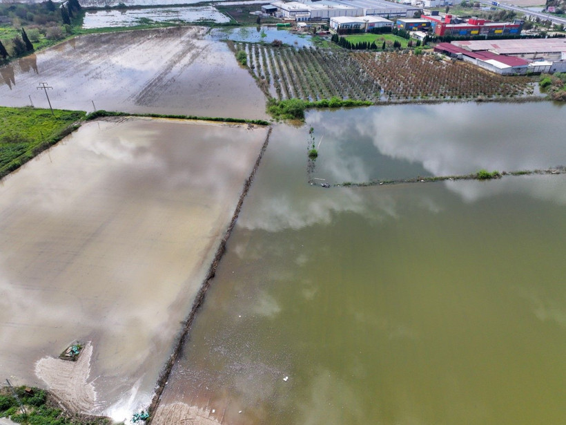 Üretici zamanla yarışıyor: Tarlada endişe yaratan görüntü - Resim: 8