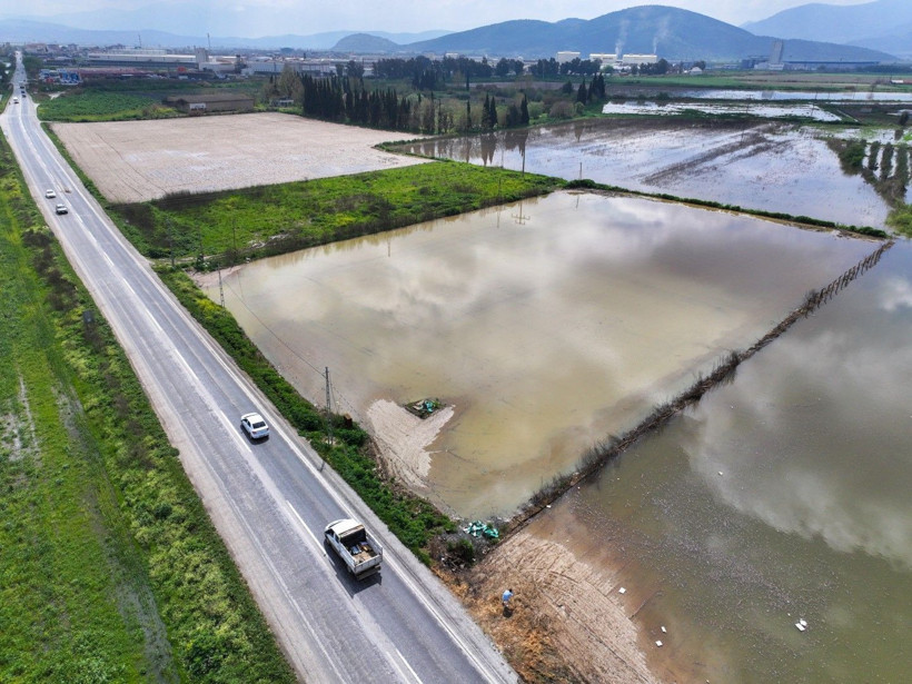 Üretici zamanla yarışıyor: Tarlada endişe yaratan görüntü - Resim: 9