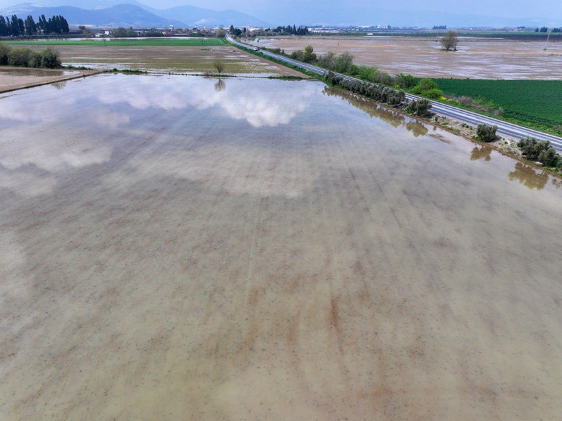 Üretici zamanla yarışıyor: Tarlada endişe yaratan görüntü - Resim: 10