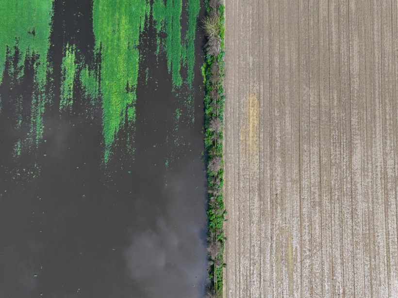 Üretici zamanla yarışıyor: Tarlada endişe yaratan görüntü - Resim: 16