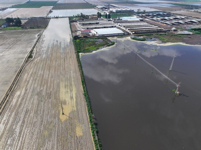 Üretici zamanla yarışıyor: Tarlada endişe yaratan görüntü - Resim: 17