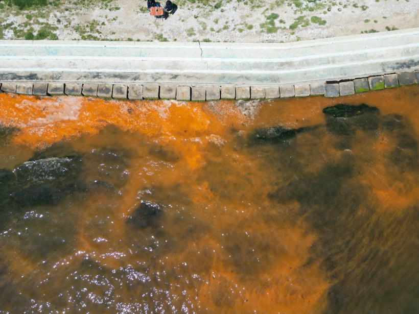 Tekirdağ'da deniz turuncuya büründü - Resim : 3