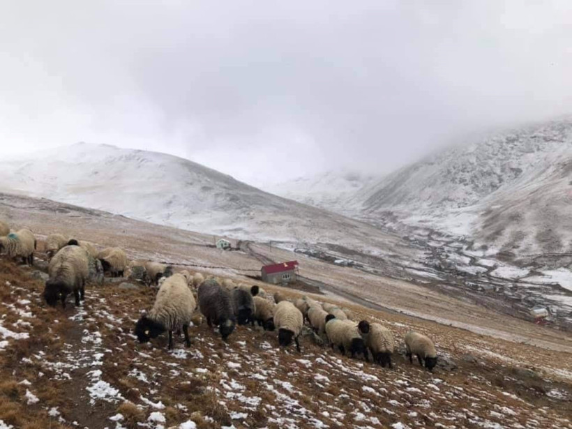 300 yıldır kullanıyorlardı, yeni karara isyan ettiler - Resim : 2