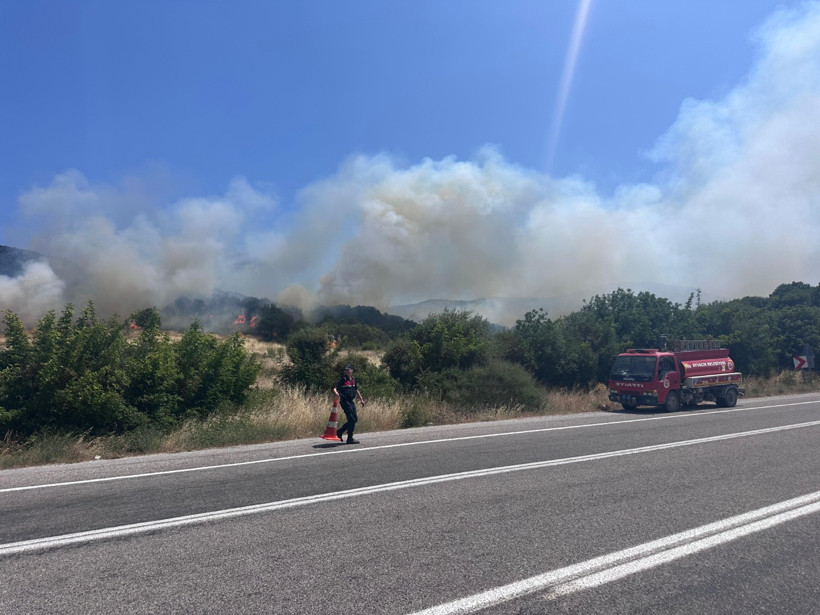 Çanakkale'de orman yangını - Resim : 1