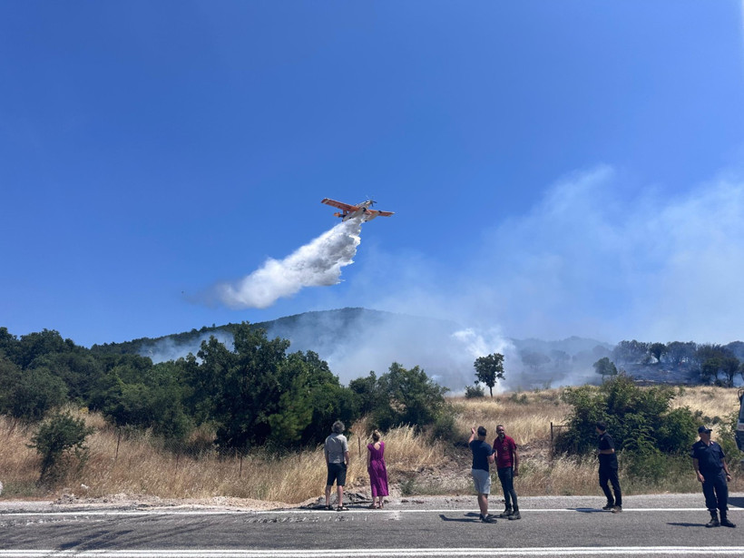 Çanakkale'de orman yangını - Resim : 2