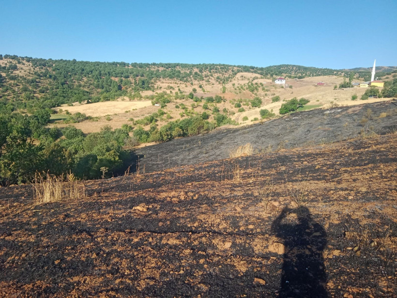 Malatya'da yangın: 2 ev ve 20 dönümlük alan zarar gördü - Resim : 1