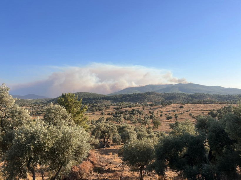 Muğla'da 3 ayrı noktada yangın - Resim : 7