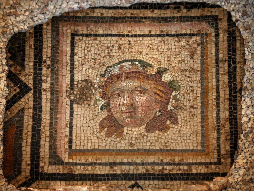 ABD'den iade edilen Zeugma mozaik paneli evine kavuştu - Resim : 2