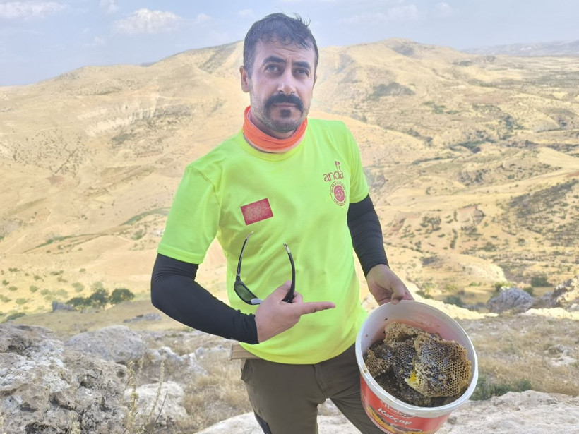 Yüzlerce metre yükseklikte bal hasadı: Kilosu 15 bin TL - Resim : 1