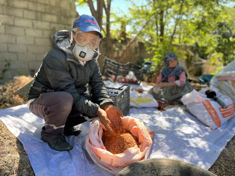 Zarar edince bunu yapmaya başladı! Şimdi kilosu 400 lira - Resim : 2