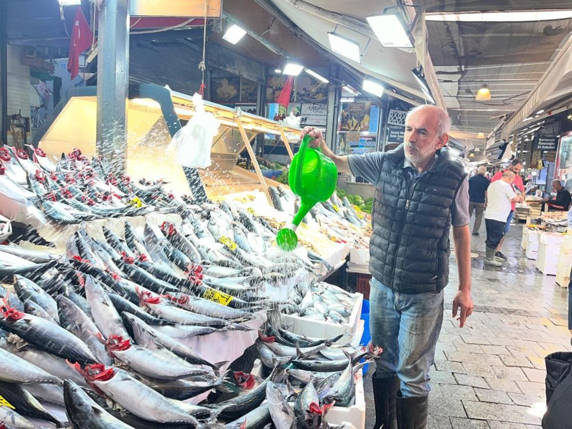 Palamutta “Kestane karası”nı sakın beklemeyin. Şaşıracaksınız - Resim: 4
